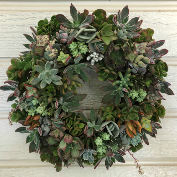 Assorted Succulent Wreaths